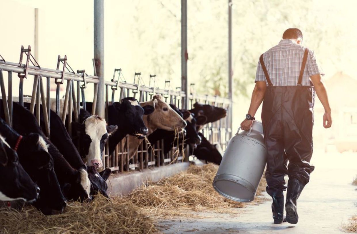 Compromis de vente terrain agricole