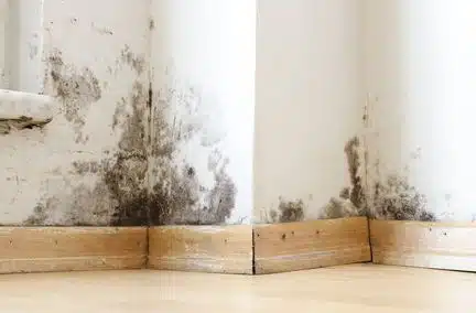 Un projet de loi contre l'habitat indigne sans ministre du Logement